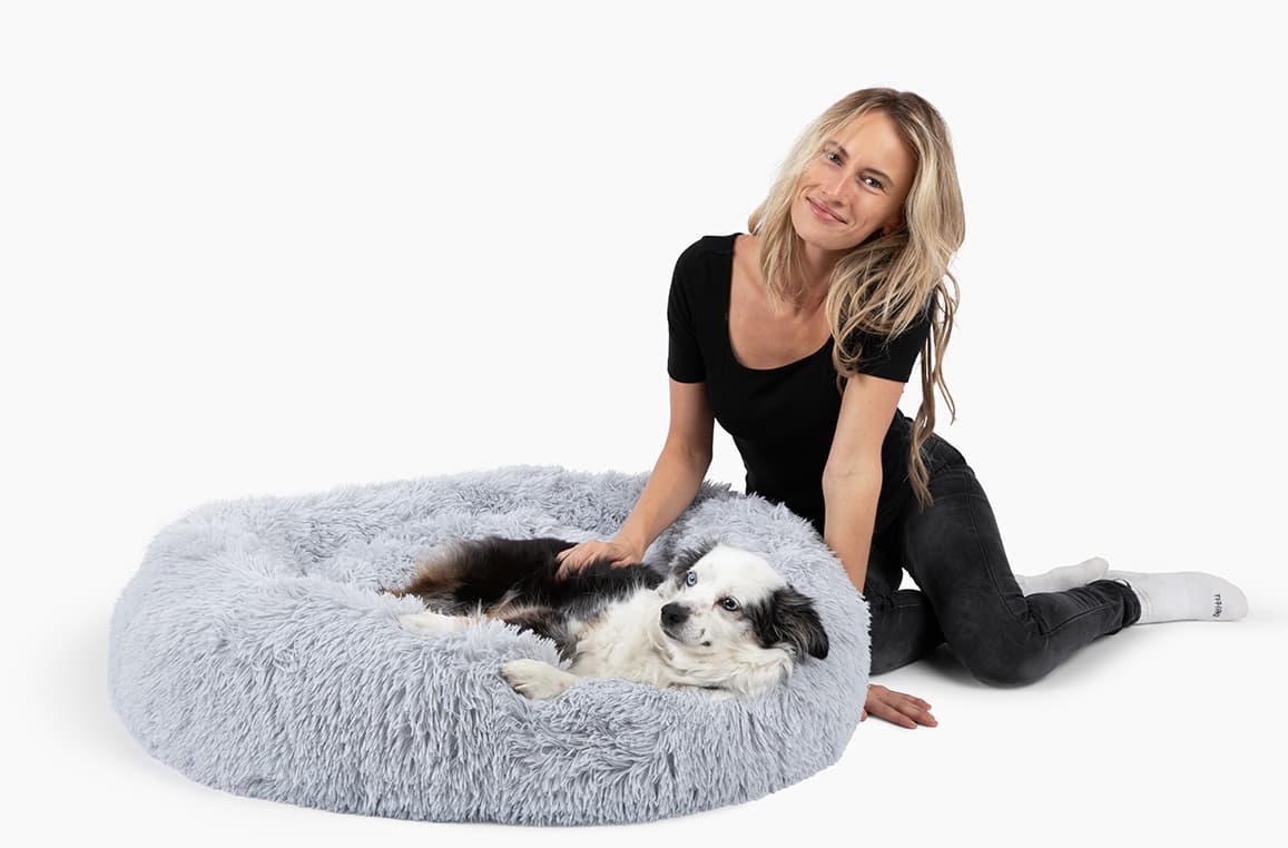 Helfen Sie Ihrem Hund, sich wie nie zuvor zu entspannen