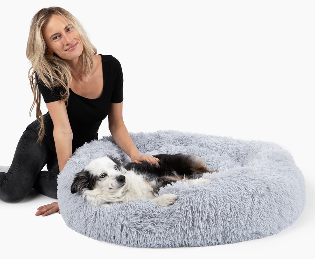 Helfen Sie Ihrem Hund, sich wie nie zuvor zu entspannen